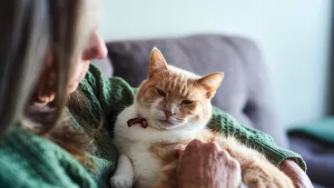 Mature woman holding her cute white-ginger cat in her arms.